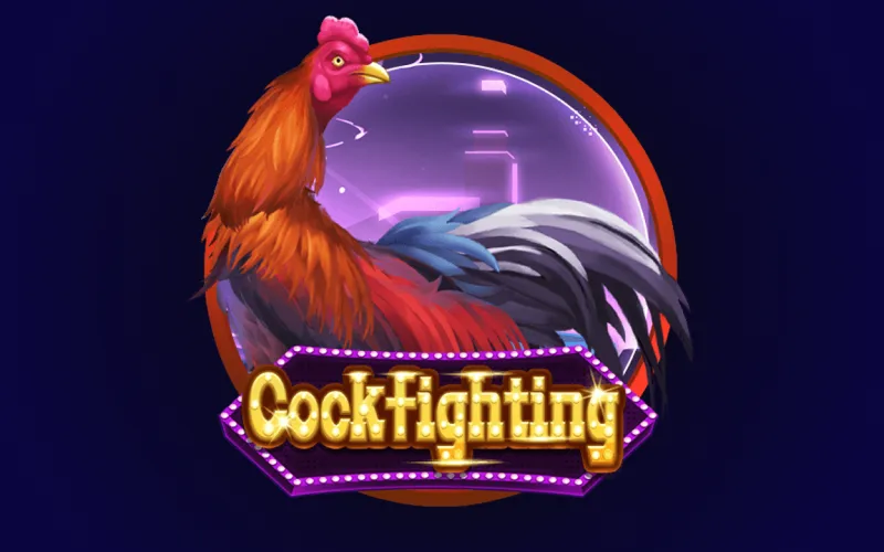 Choose your champion and enjoy realistic animations, play Cockfighting at MostPlay.